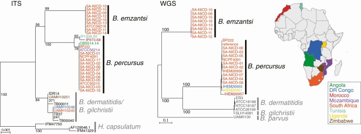 Figure 3.