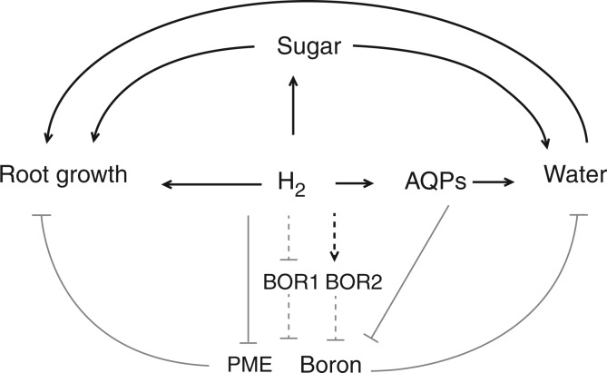 Fig. 8.