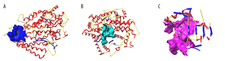 Figure 7