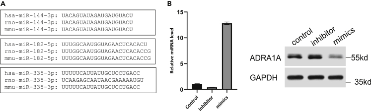 Figure 7