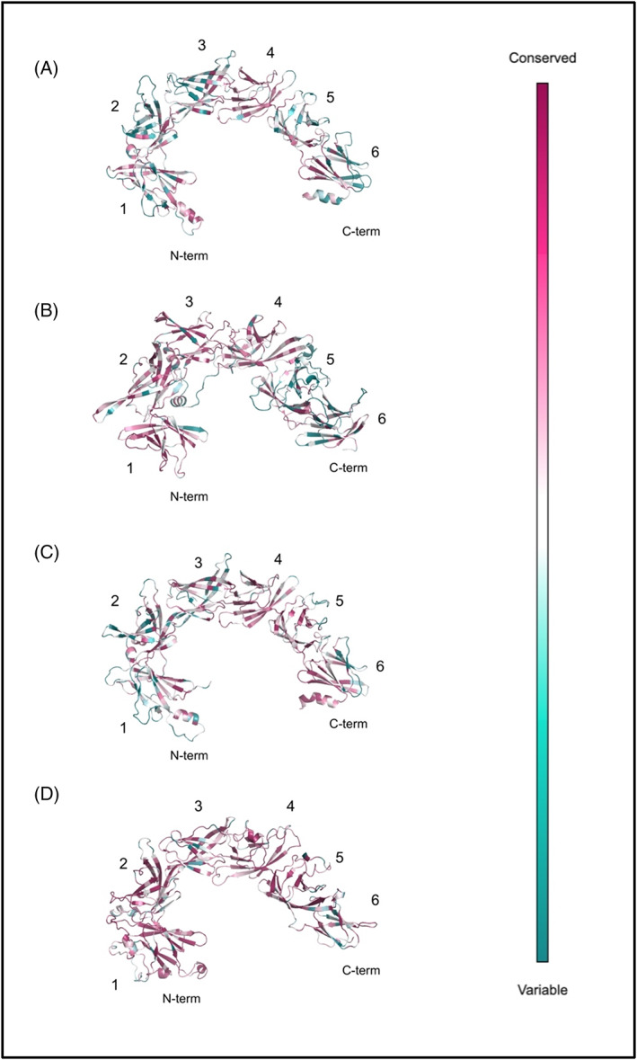 FIGURE 2