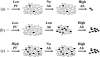 FIG. 8.