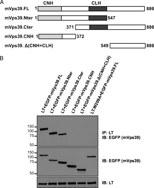 FIGURE 7.