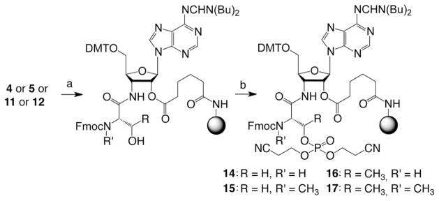 Scheme 4