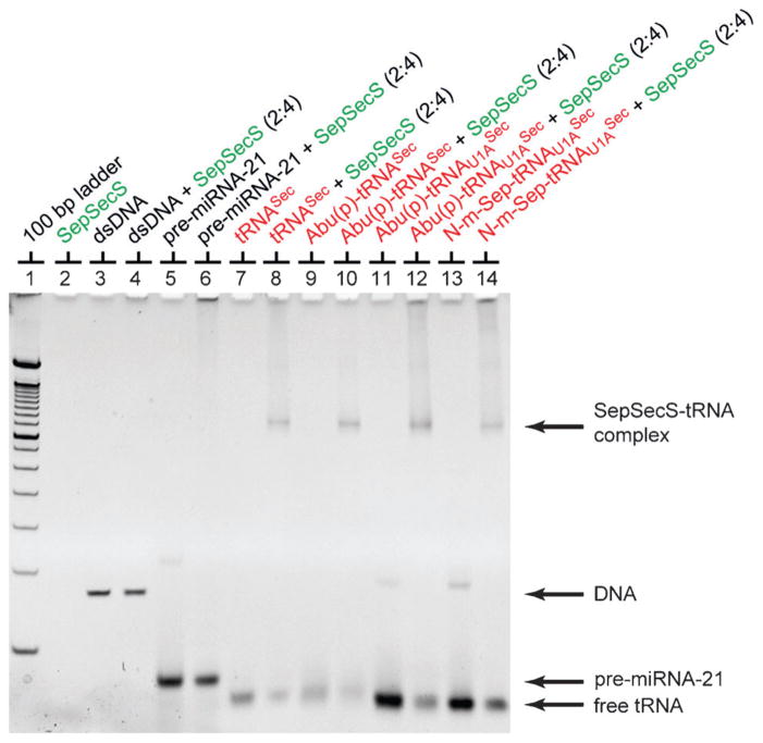 Figure 5