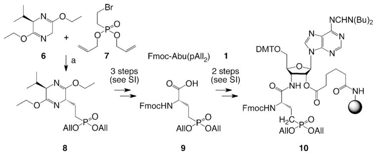 Scheme 2