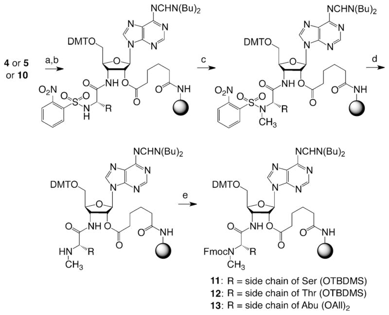 Scheme 3