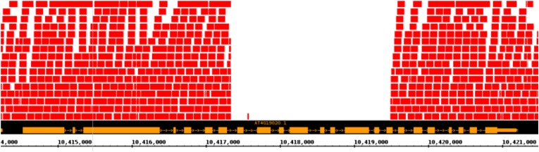 Figure 5—figure supplement 2.