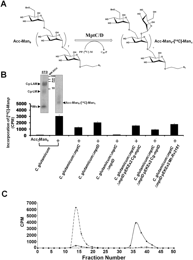 Fig. 6