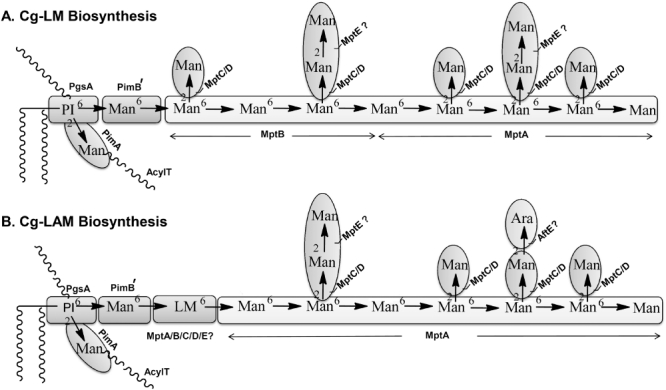 Fig. 9