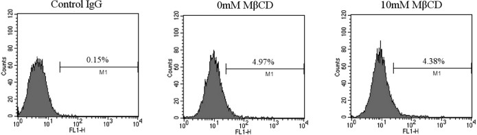 Supplementary Fig. 4