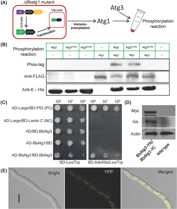 FIG 5