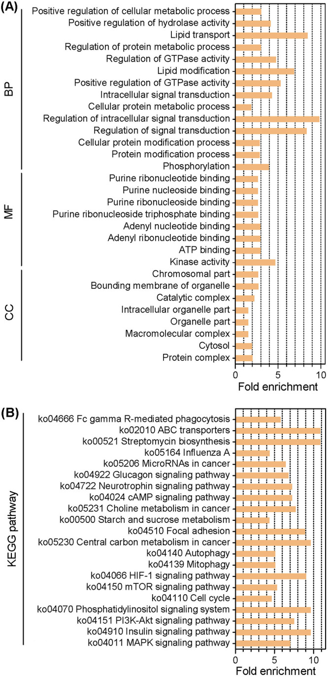 FIG 2