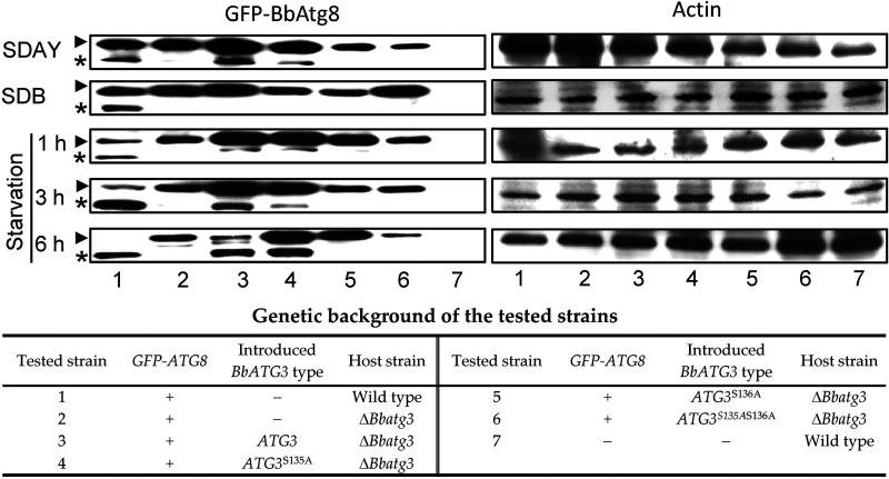 FIG 10