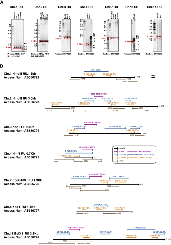 Figure 2.