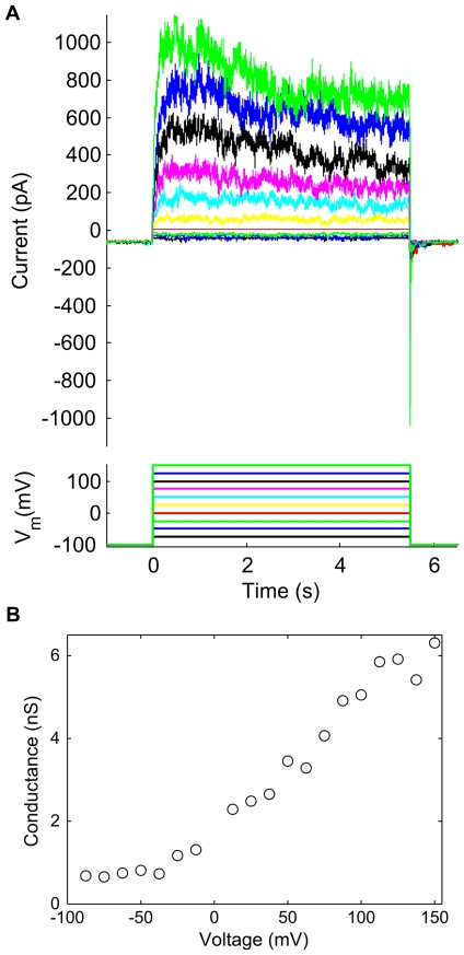 Figure 7