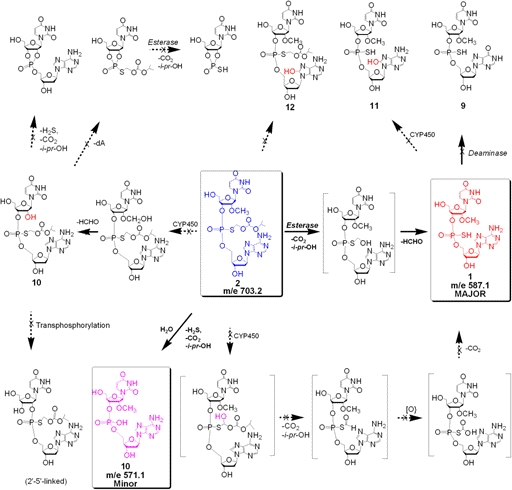 Fig. 6.