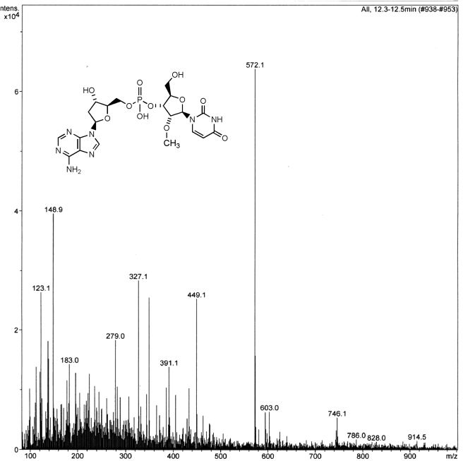 Fig. 5.