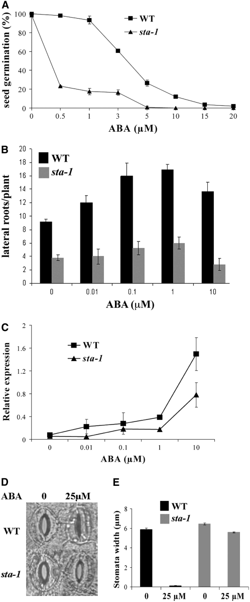 Figure 7.