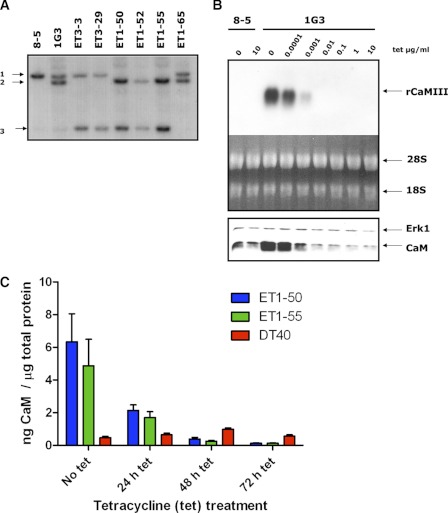 FIGURE 1.