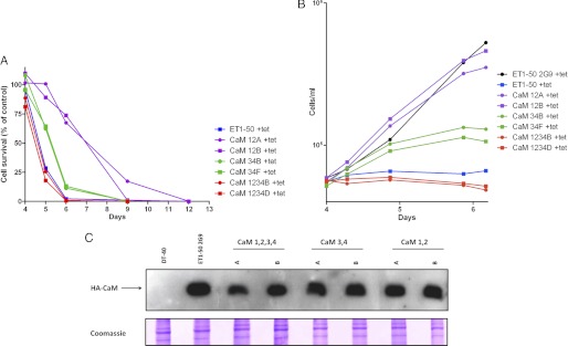 FIGURE 4.