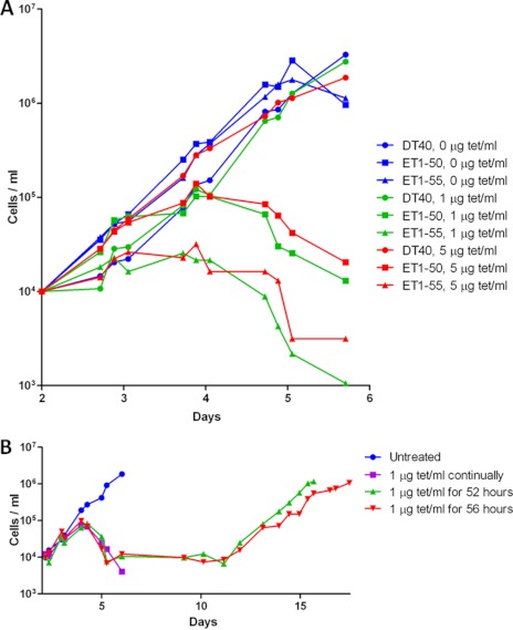 FIGURE 2.