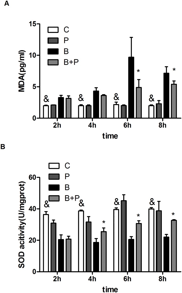 Fig 6