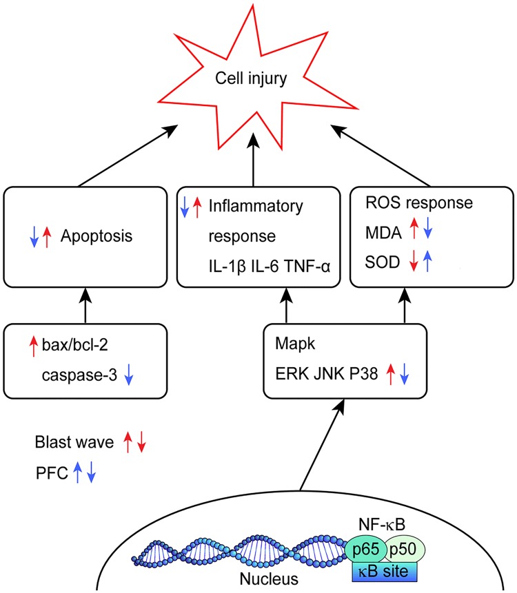 Fig 8