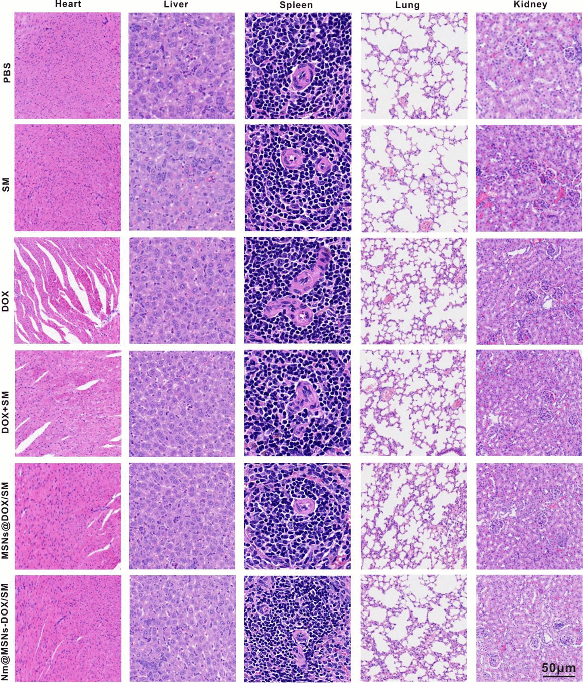 Fig. 9