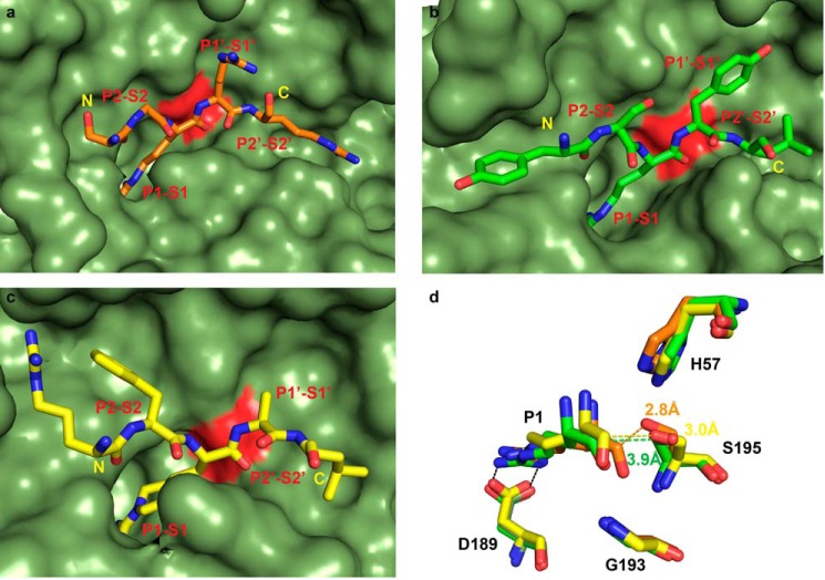 FIGURE 10.