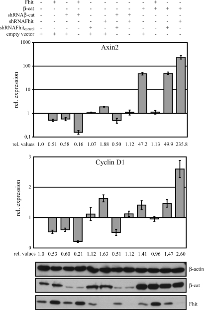 Fig. 3.