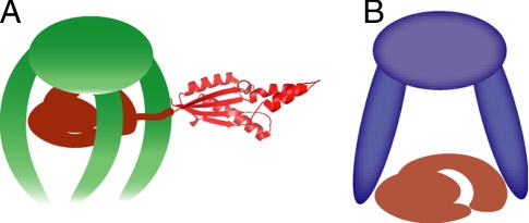 Fig. 4.