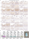 Fig 9