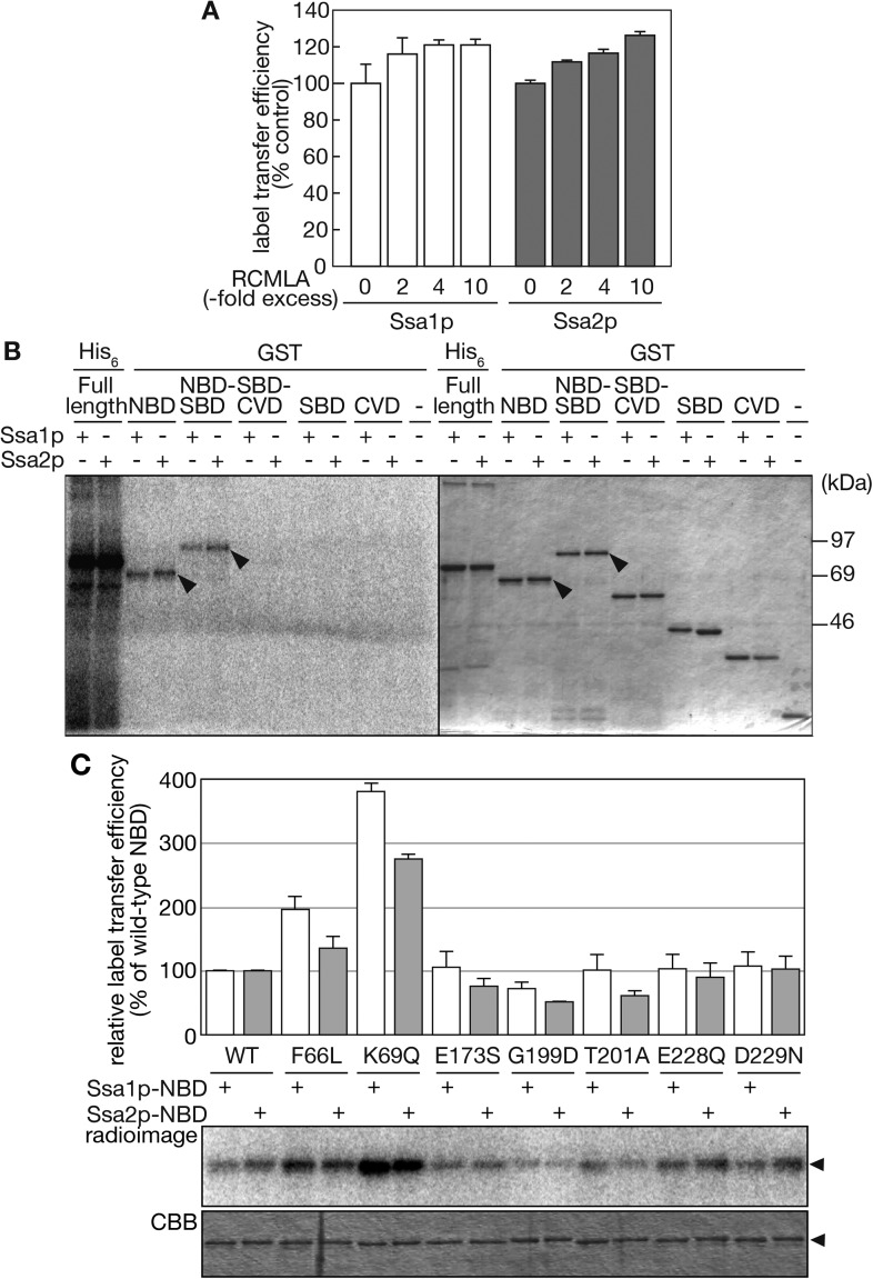 Figure 6.