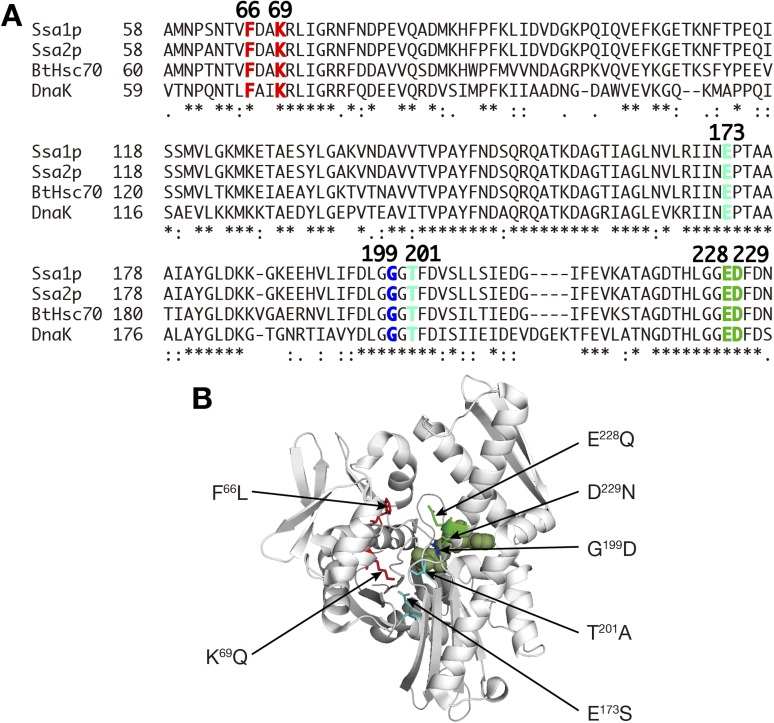 Figure 6—figure supplement 1.