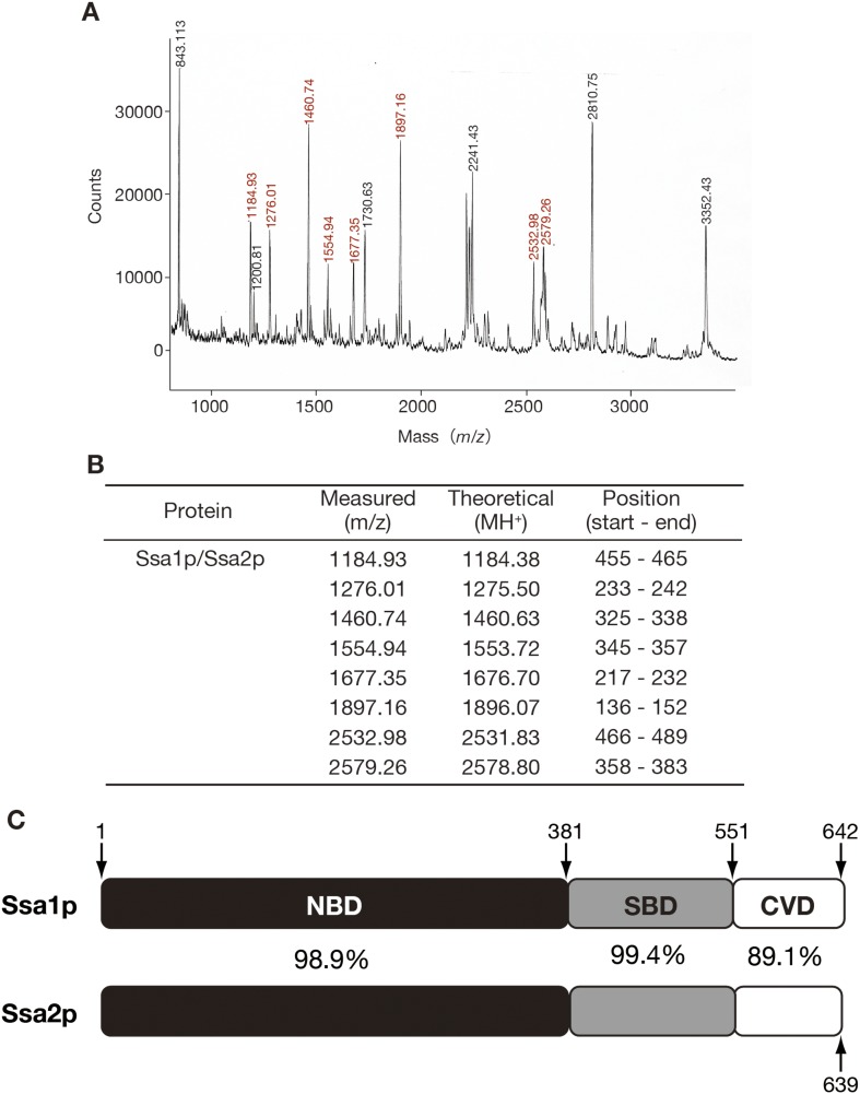 Figure 1—figure supplement 1.