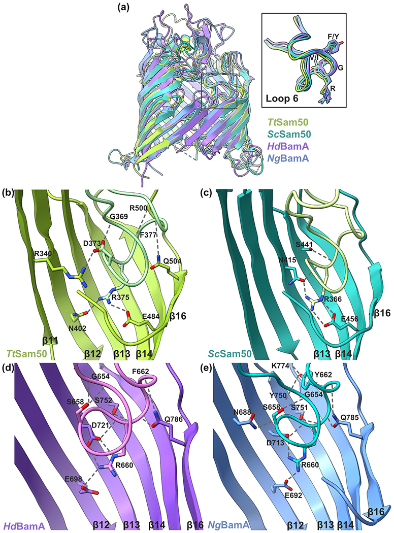 Figure 7.