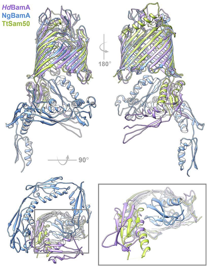 Figure 6.