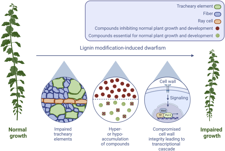 Figure 3