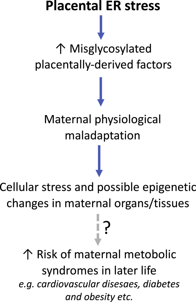 Figure 7