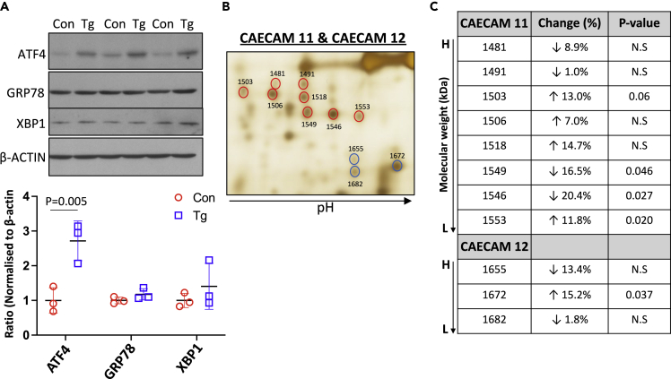 Figure 3