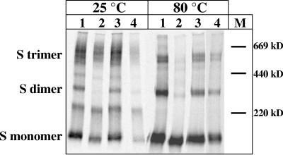 FIG. 8.