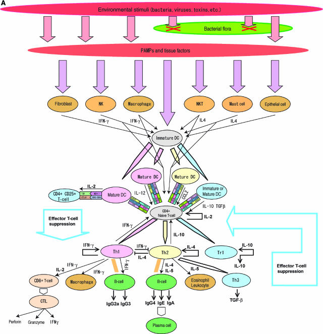 Figure 1a