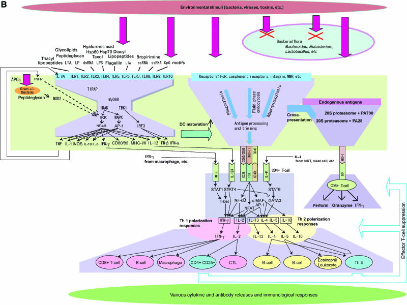 Figure 1b