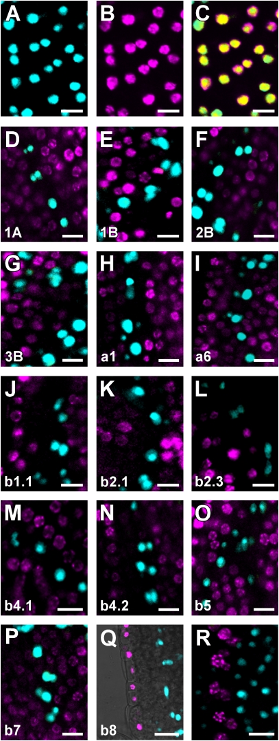 Figure 5.