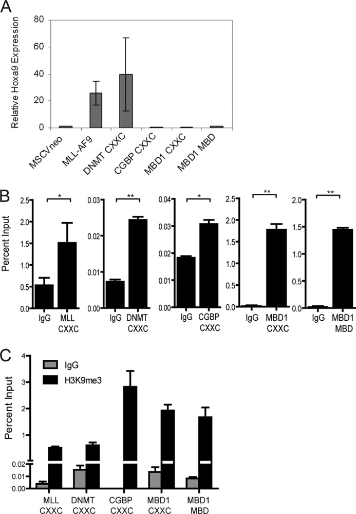 FIGURE 4.