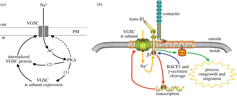 Figure 6.