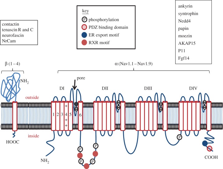 Figure 1.