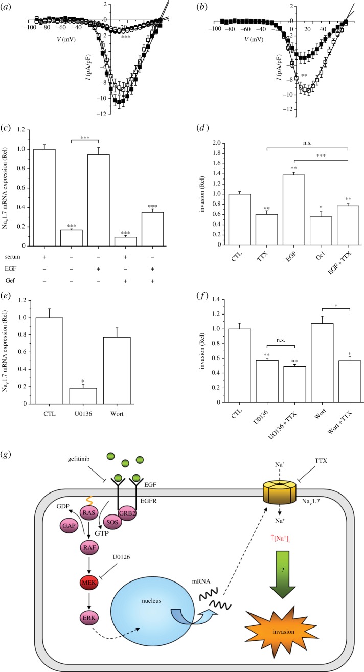 Figure 4.