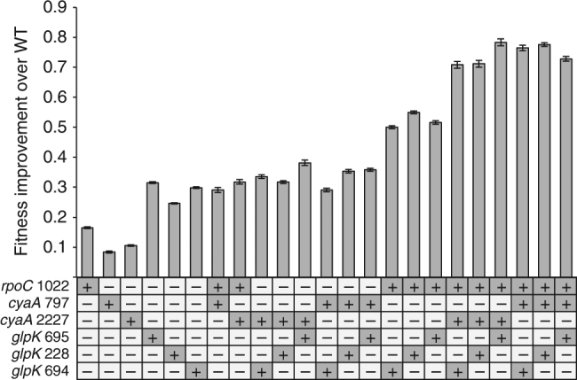 Fig. 5